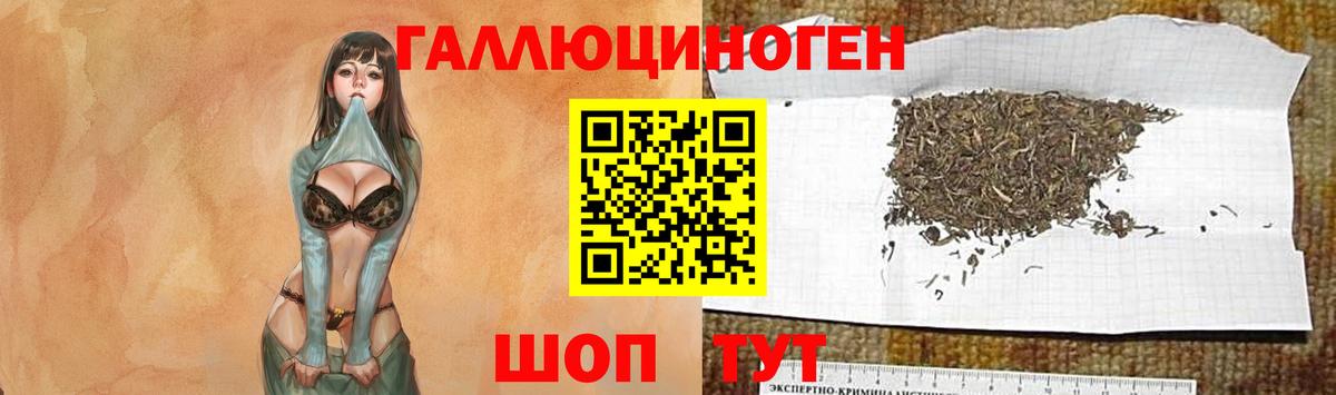 Галлюциногенные грибы MAGIC MUSHROOMS  Вход с VPN  Красноуфимск 